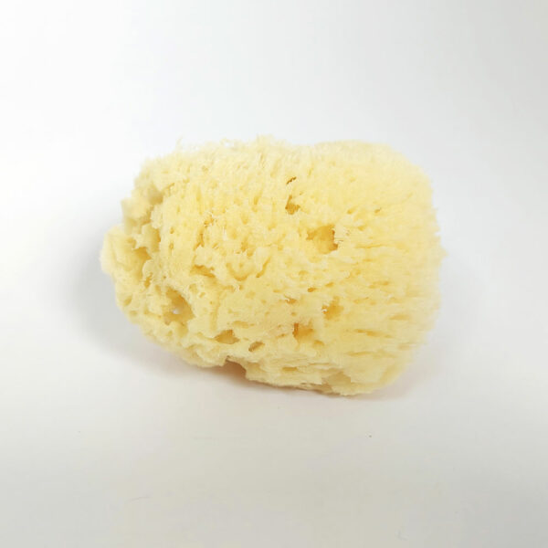 ESPONJA MAQUILLAJE O BEBÉ Nº 2